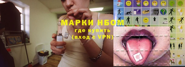 шишки Армянск
