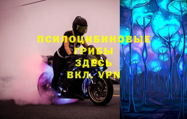 шишки Армянск