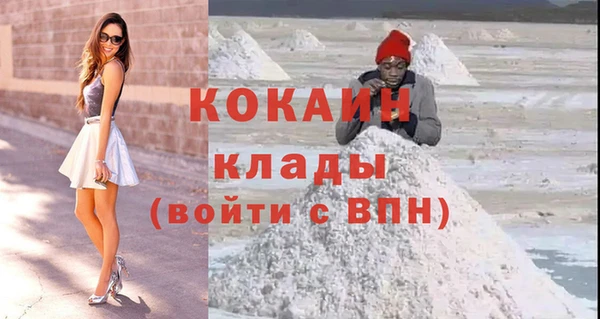 шишки Армянск