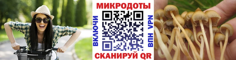 Галлюциногенные грибы Psilocybe  наркота  Богучар 